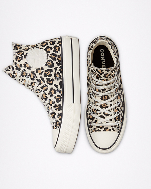 archive print driftwood color above