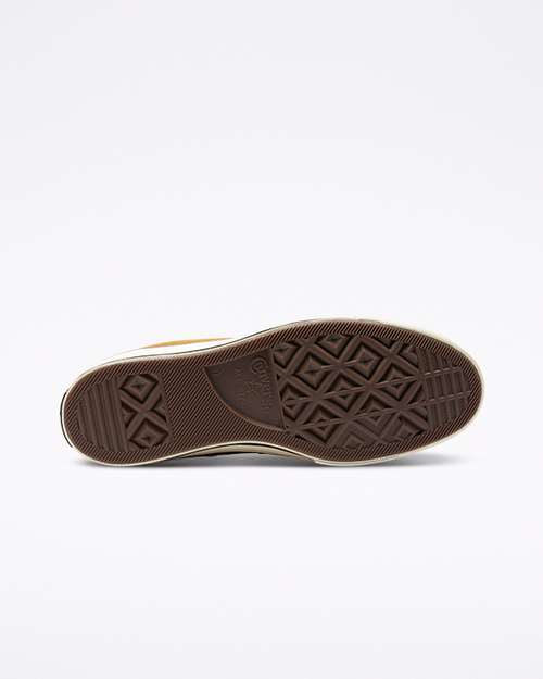 seasonal yellow color under